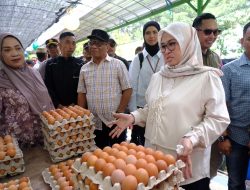 Peringati Hari Buruh, Pemkab Gowa Tegaskan Peran Pekerja sebagai Penggerak Pembangunan Daerah